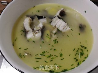 Black Fish Soup recipe