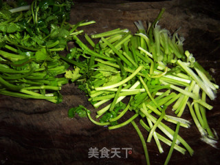 Coriander Louver recipe