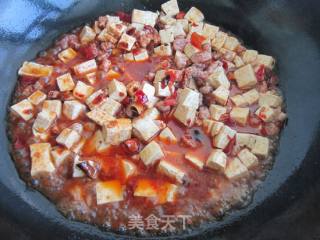 Homemade Spicy Tofu recipe