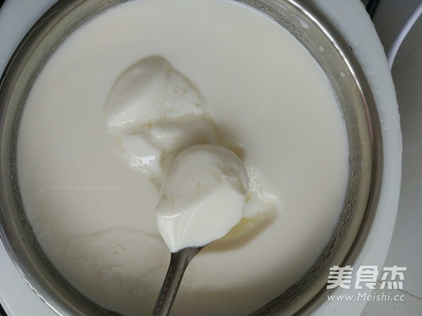 Homemade Plain Yogurt recipe