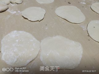 Shrimp and Pork Dumplings recipe