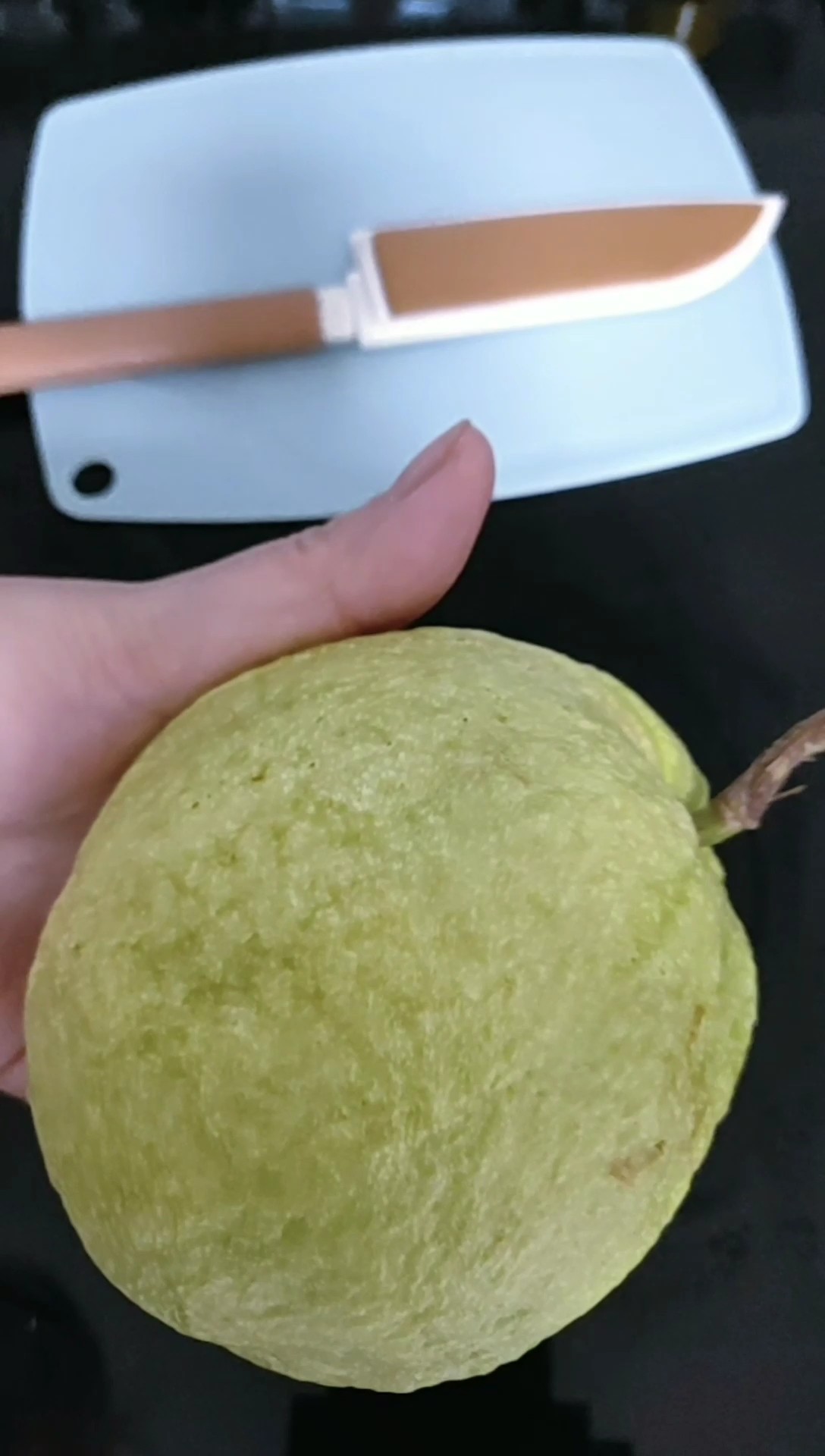 Different Guava recipe