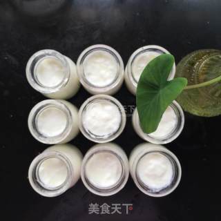 Homemade Yogurt in Bread Maker recipe