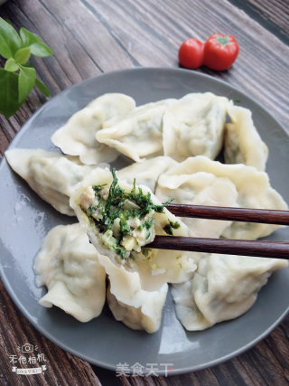 Shepherd's Purse Pork Dumplings recipe