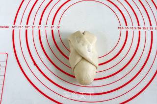 Whole Wheat Milk Soft European recipe