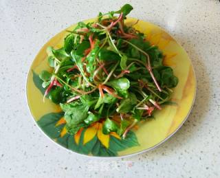 Radish Sprouts recipe