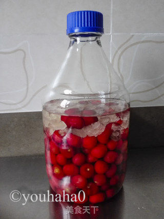 Homemade Cherry Cider recipe