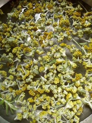 #春食野菜香#qingming Huababa recipe