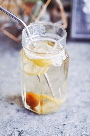 Lemon Plum Soda recipe