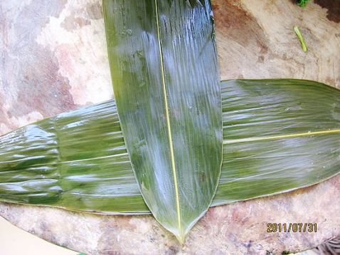 Microwave Bamboo Leaf Ribs recipe