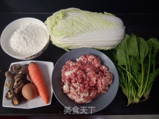 #trust之美#jade Chinese Cabbage Meat Dumplings recipe