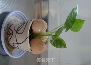 Egg Burrito recipe