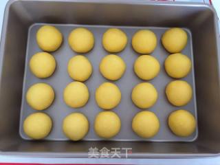 Pumpkin Meal Buns recipe