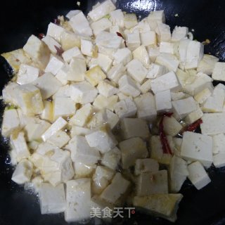 Braised Tofu with Sauce recipe