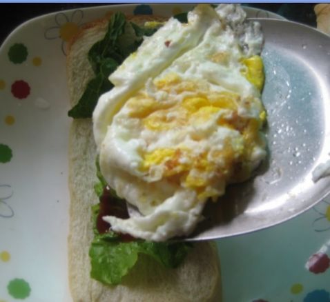 Homemade Burger recipe