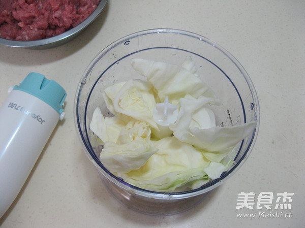 Beef and Cabbage Wonton recipe