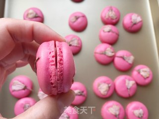 French Sakura Macaron recipe