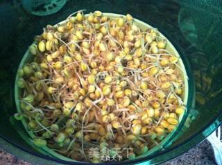 Soybean Sprouts Mixed with Spinach recipe