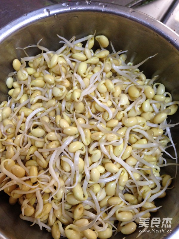 Vegetarian Stir-fried Soybean Sprouts recipe