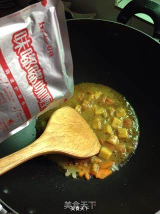 Dolphin Curry Potato Chicken Rice (lazy Version) recipe