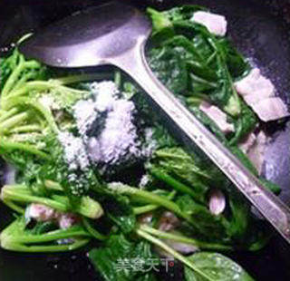 Stir-fried Spinach with Mantis Shrimp recipe