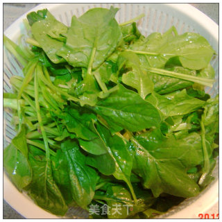 Green Leaf Jasper* Crystal Clear ----- Crystal Spinach Jelly recipe