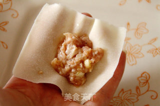 【fresh Meat and Shrimp Wonton】 recipe