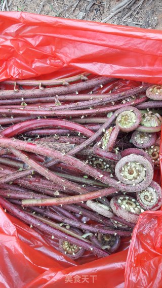 Fried Pork with Bracken recipe