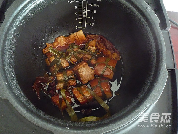 Anhydrous Braised Pork recipe