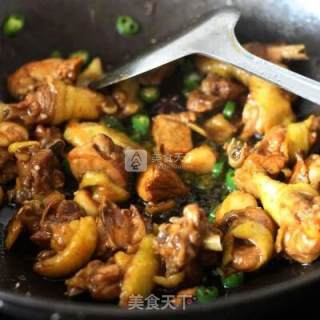 Yellow Braised Chicken, Fighter in Chicken recipe