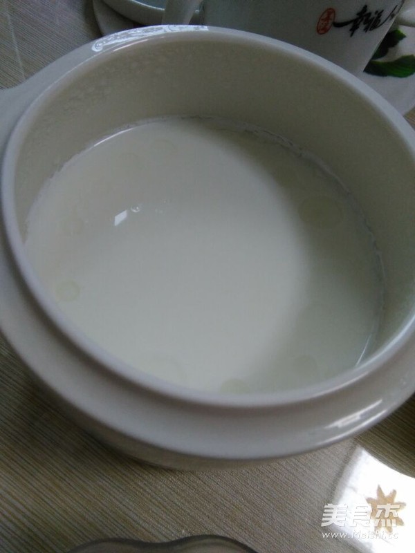 Homemade Yogurt (milk Version) recipe