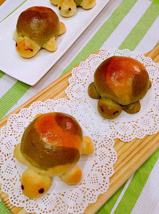 Tortoise Bean Paste