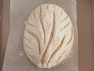 Whole Wheat European Buns recipe