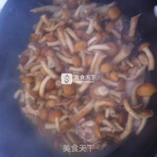 Chicken Stew with Name Mushrooms recipe