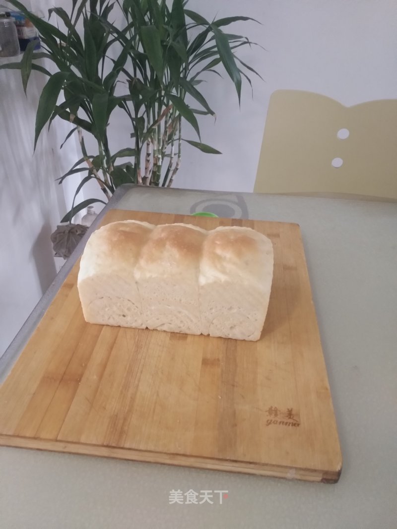 Whole Wheat Oil-free Sugar-free Toast recipe