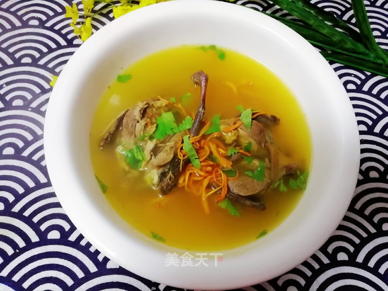 Wild Pigeon Stewed Cordyceps Flower recipe