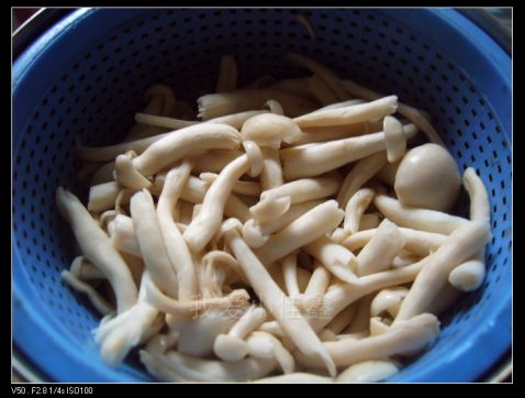 Stir-fried Shredded Pork with Seafood and Mushroom recipe