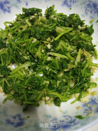 Coriander recipe