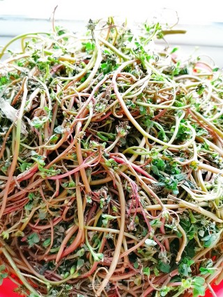 Dried Vegetables recipe