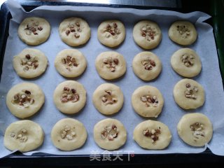 Walnut Shortbread recipe