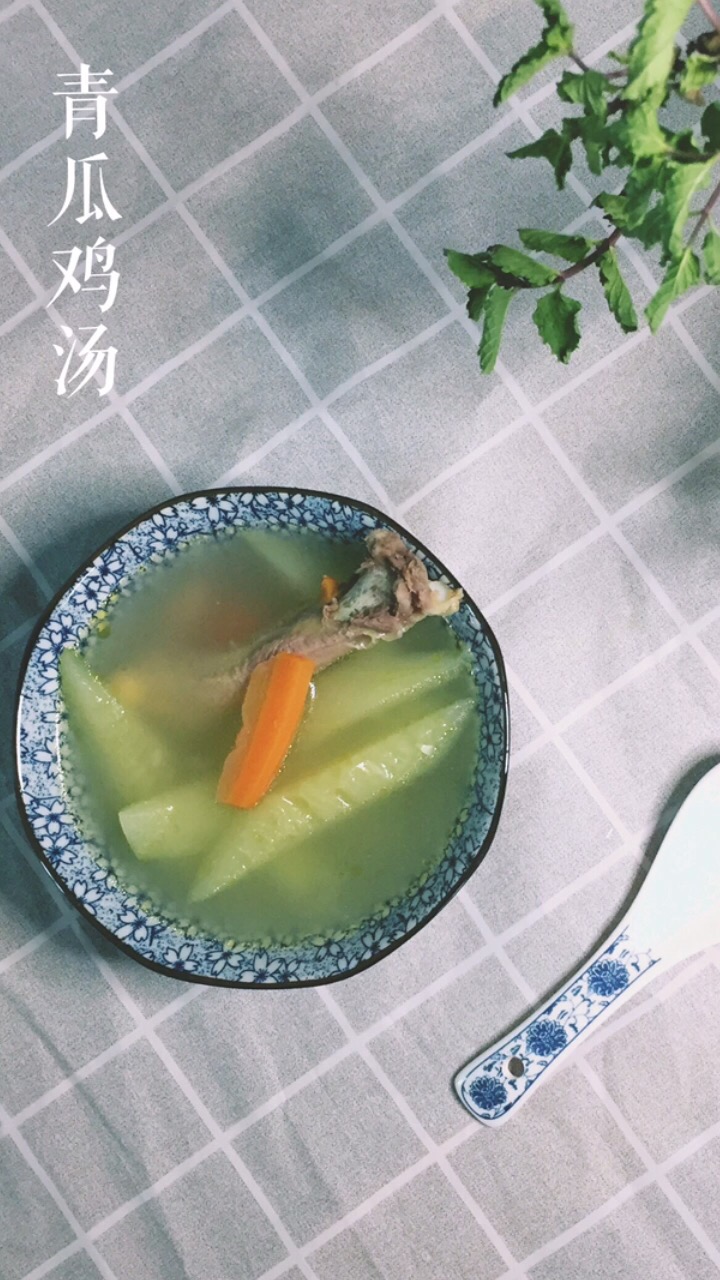 Moms Love to Cook Hot Summer Soup in Summer~~ Cucumber Chicken Soup recipe