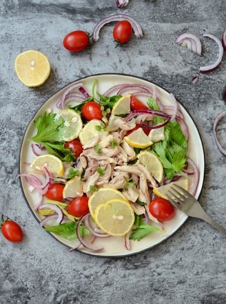 Lemon Chicken Salad with Red Wine Vinegar