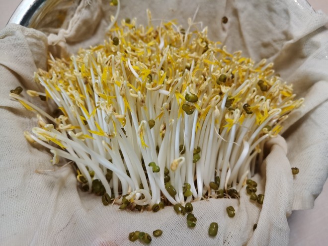 Bean Sprouts, Super Simple and High Value recipe