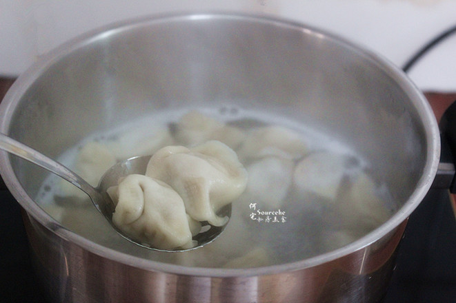 Cook Quick-frozen Dumplings recipe