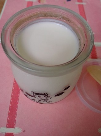 Homemade Condensed Milk Yogurt recipe