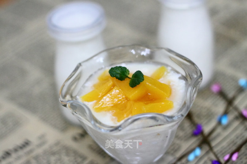 Homemade Healthy and Delicious Yogurt recipe