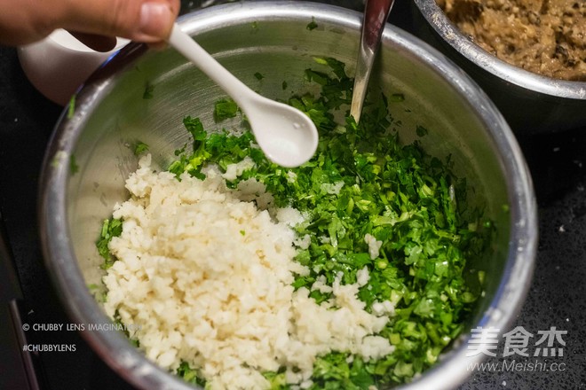 Cilantro, Mushroom and Chicken Breast Dumplings recipe