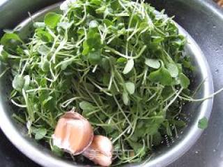 Stir-fried Radish Seedlings recipe