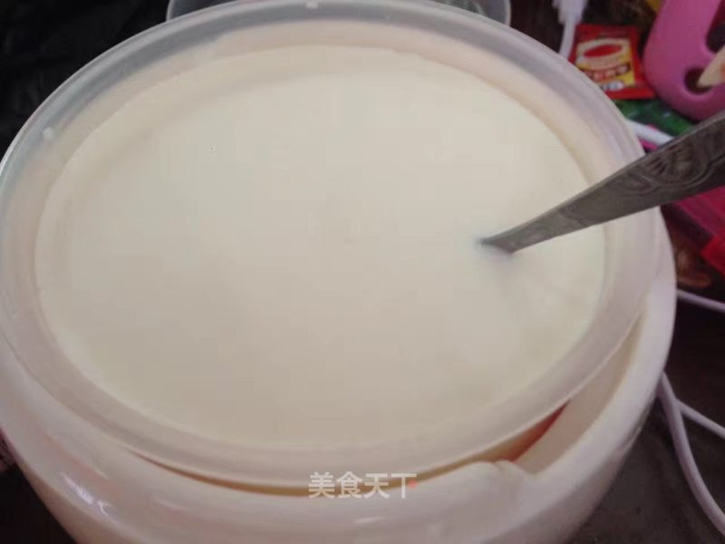 Homemade Good Yogurt recipe