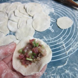 Fungus Pork Dumplings recipe